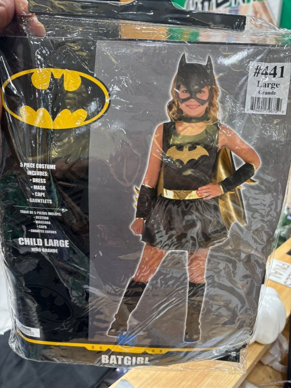 Batgirl Costume Child Large Girls